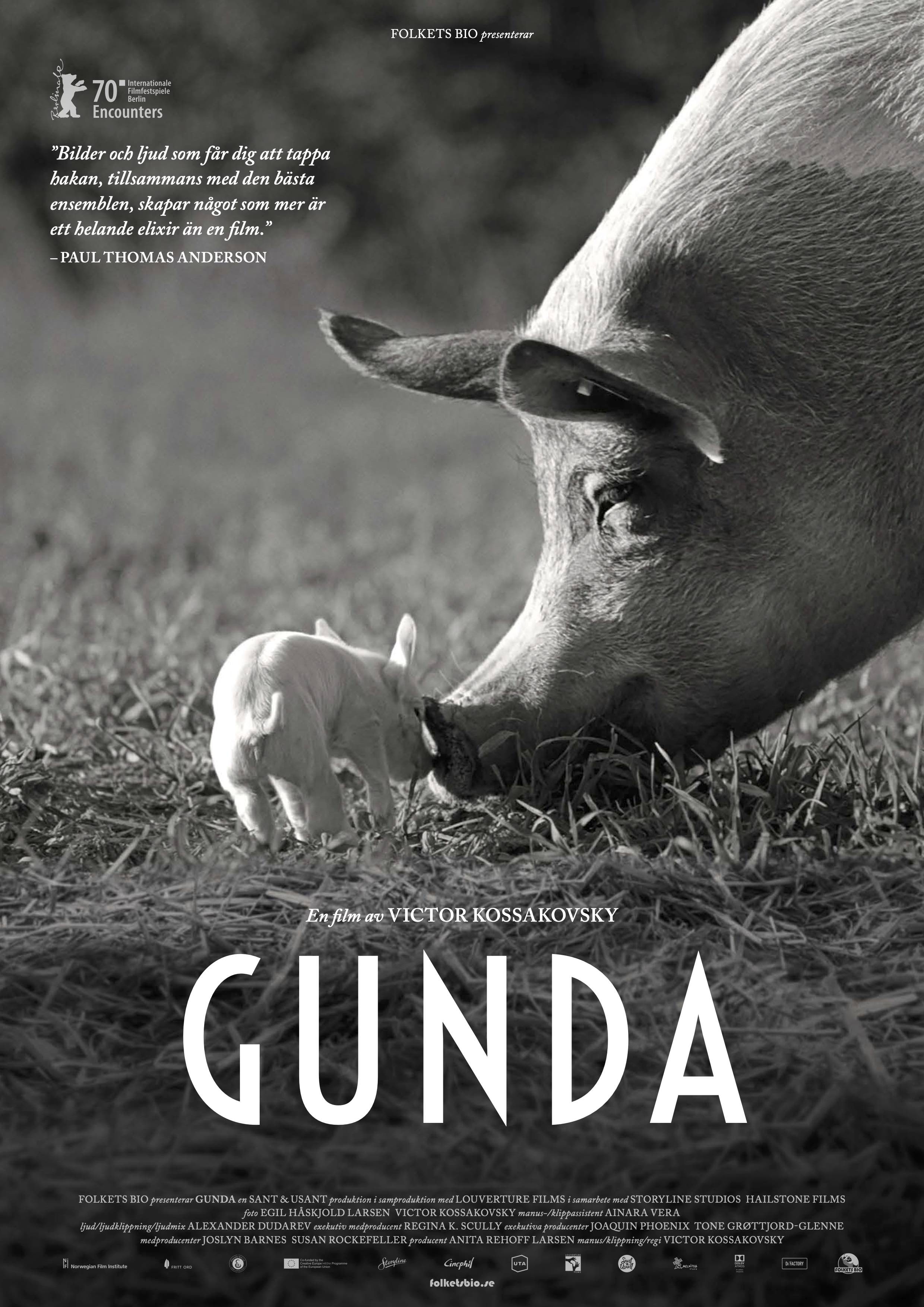 Omslag till filmen: Gunda